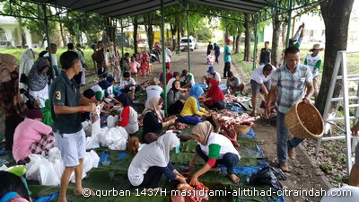 qurban 1437H citraindah city qurban 1437H citraindah city